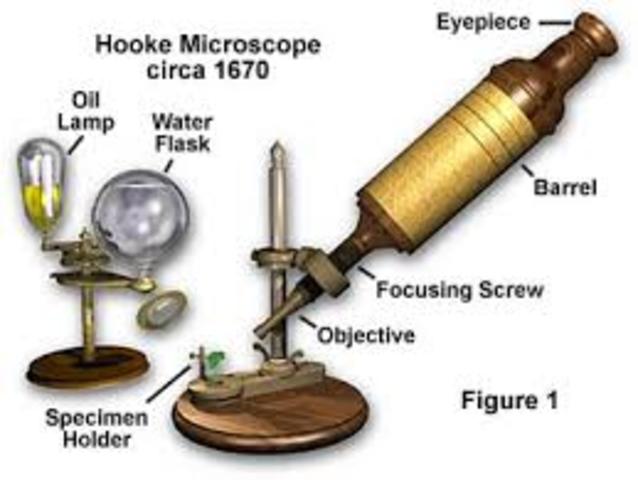 Zacharias Janssen invented the microscope