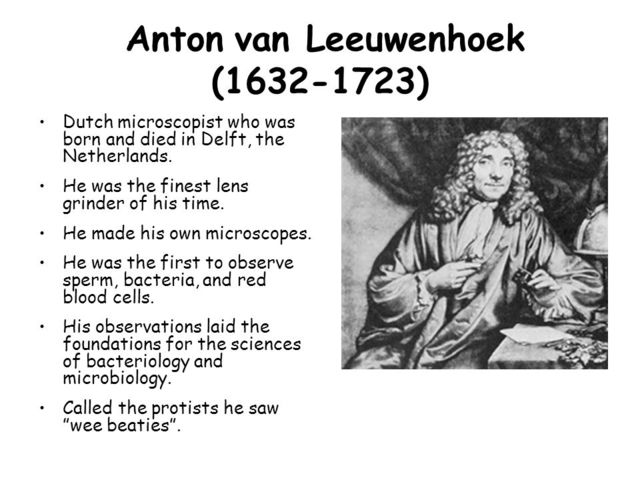 Anton Van Leeuwenhoek saw red blood cells for the first time
