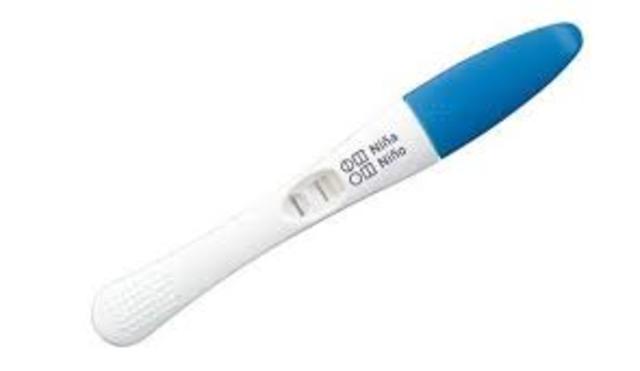 Home Pregnancy Test was first introduced.