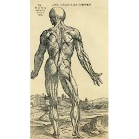 Andreas Vesalius published On the Fabric of the Human Body – detailing dissection of human bodies