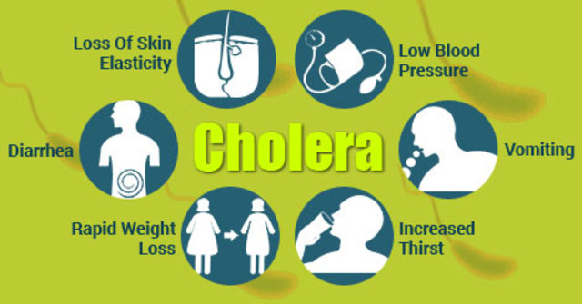 Cholera kills +1,600