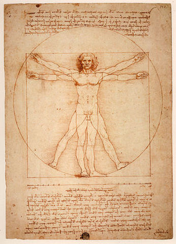 Vitruvian Man