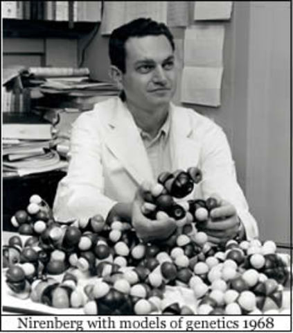 Nirenberg cracks the genetic code