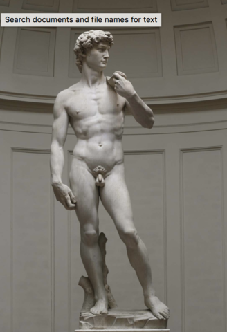 Michelangelo's David