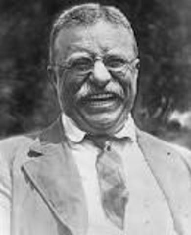 Food and Drug Act passed/ Theodore Roosevelt