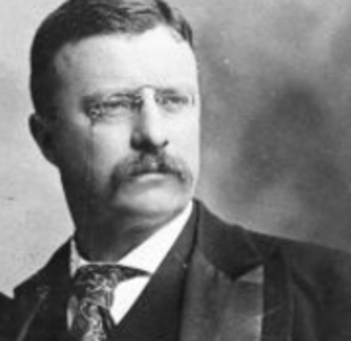 Food and Drug Act Passed Theodore Roosevelt