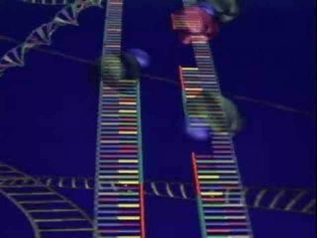 Don't lose sight of your gene's!