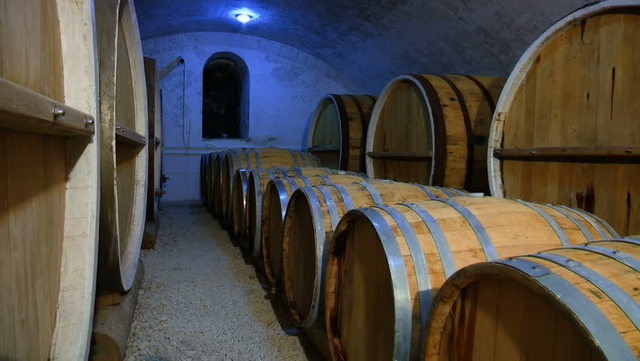 The Renaissance and biotechnology