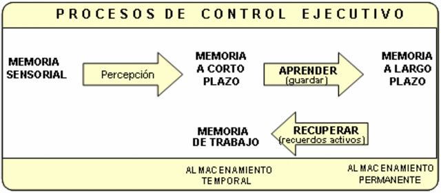 Teoría procesamiento de la Información