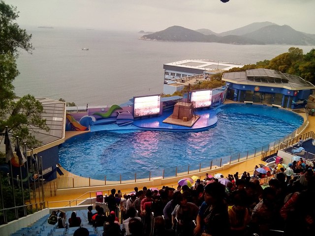 Ocean Park Opens