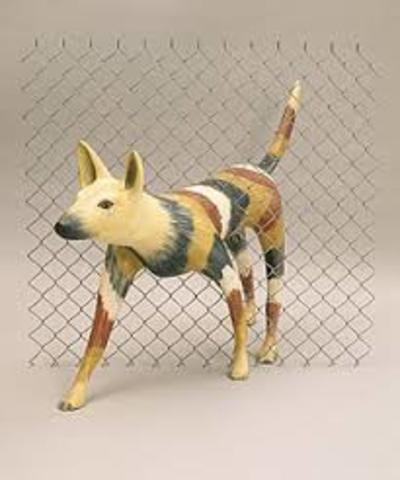 Dingoes: Dingo Proof Fence