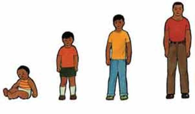 Nacimiento de cognoscitivo