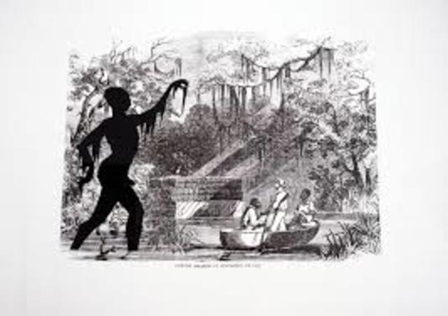 Cotton Hoards in Southern Swamp