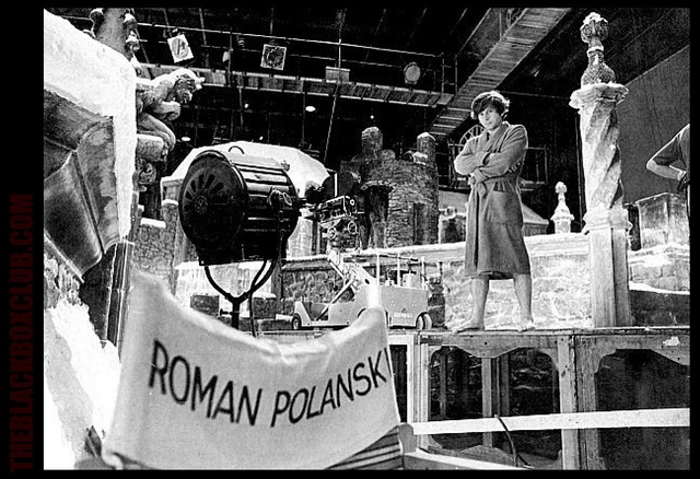 The European Film Import