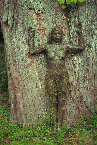 Ana Mendieta’s “From Silueta Series”