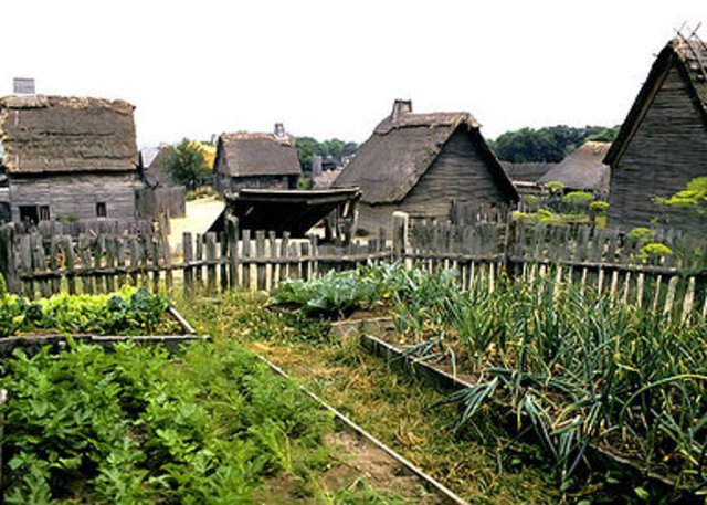 new England colonies