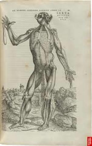 Andreas Vesalius published On the Fabric of the Human Body-detailing dissection of human bodies