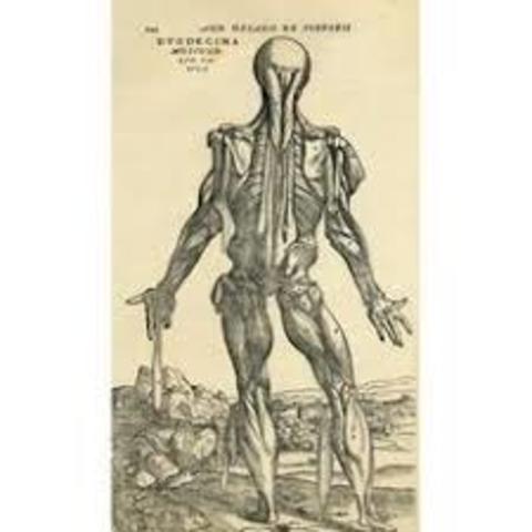Andreas Vesalius published on the fabric of the human body - detailing dissectionof human bodies