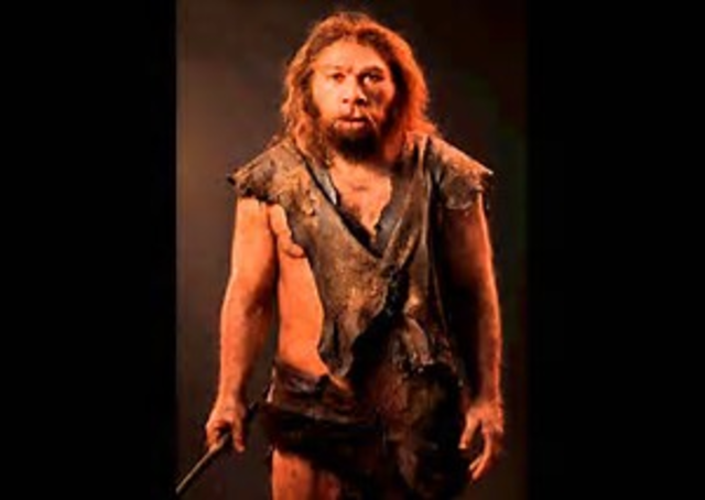 HOMO DE NEANDENTAL