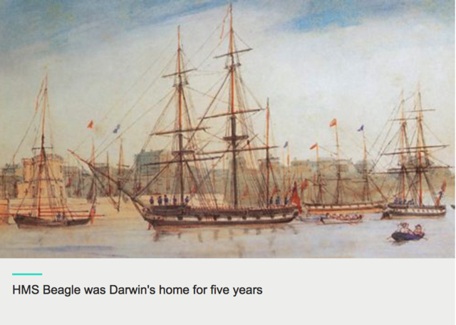 MHS Beagle Sets Sail