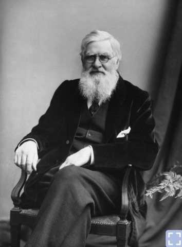Alfred Russel Wallace