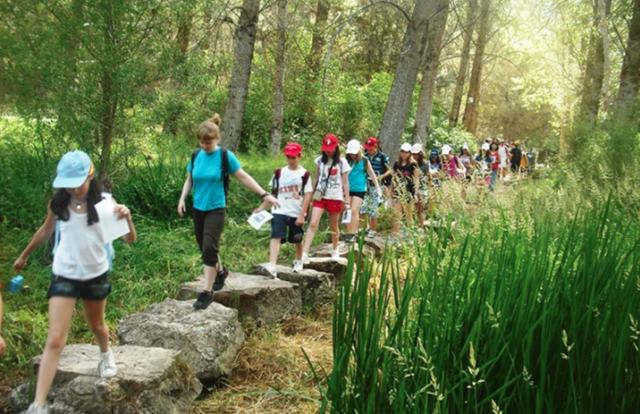 Trabajar en un campamento de verano en Chicago