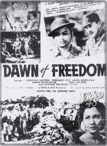 The European Film Import