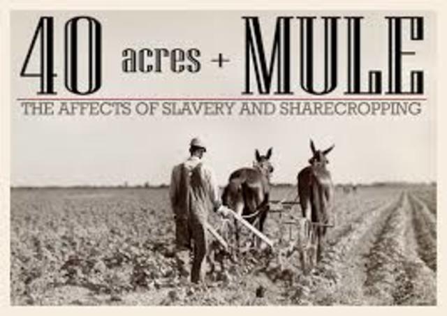 Forty Acres and a Mule