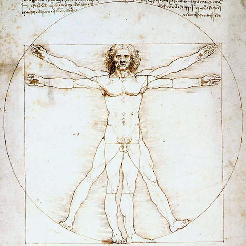 Vitruvian Man