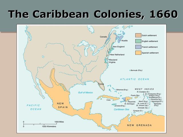 Caribbeans colonies sugar