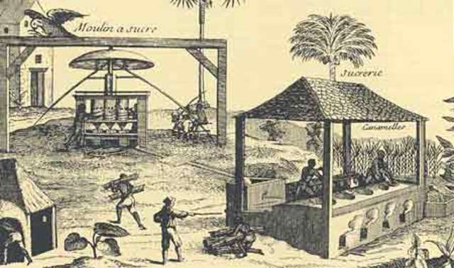 Caribbean Colonies (Sugar)
