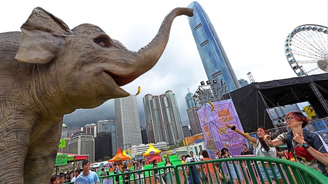 Amusement park closed