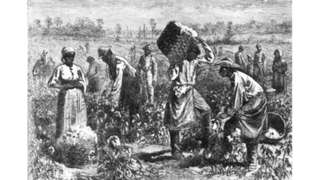 Slavery began in the American colonies