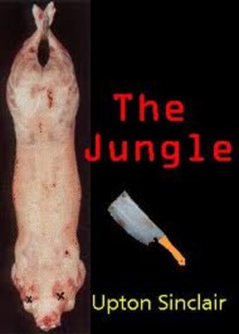 The Jungle is published