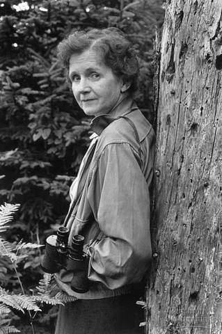 Rachel Carson published "Silent Spring"
