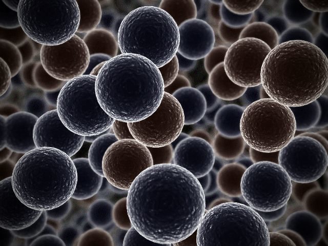 Democritus Contribution