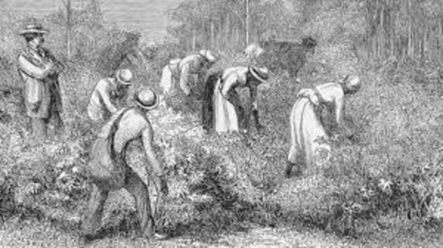 Southern Society during American Industrial Revolution