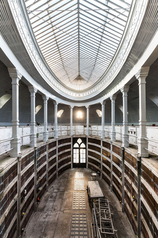 Cemitério do Agramonte (Porto)