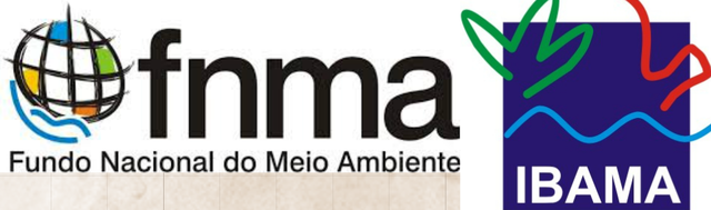 Criação do Instituto Brasileiro do Meio Ambiente (IBAMA), e do Fundo Nacional de Meio Ambiente (FNMA)