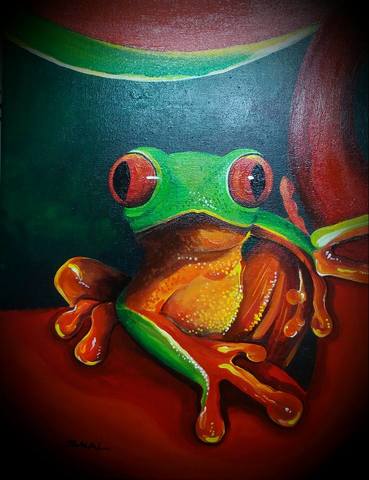 RANITA COSTARRICENSE