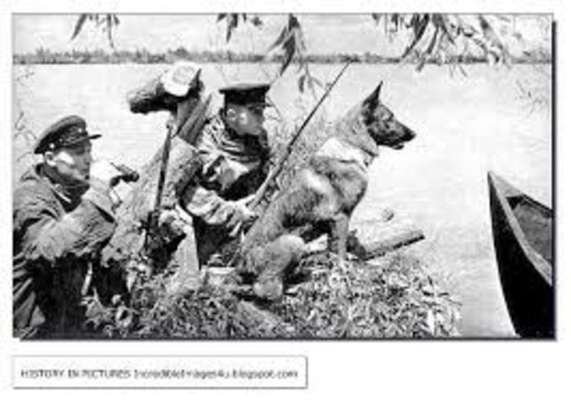 Germany attacks Soviet Union