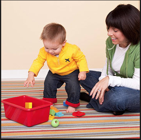 6 Months to 12 Months