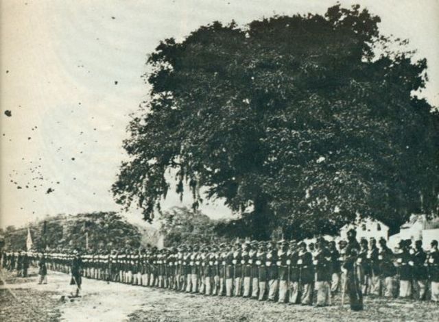 "First South Carolina Volunteers, United States Army, Near Beaufort, South Carolina, Hearing the Reading of the Emancipation Proclamation, January 1, 1863"