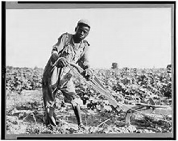 Sharecropping