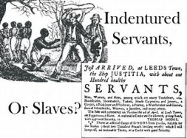 Indentured Servants