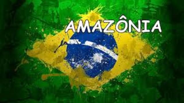 Publicação dos livros Amazônia