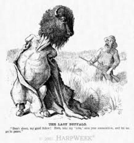 The decimation of the buffalos.