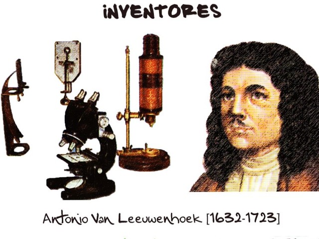 Descubrimiento De Los Glóbulos Rojos