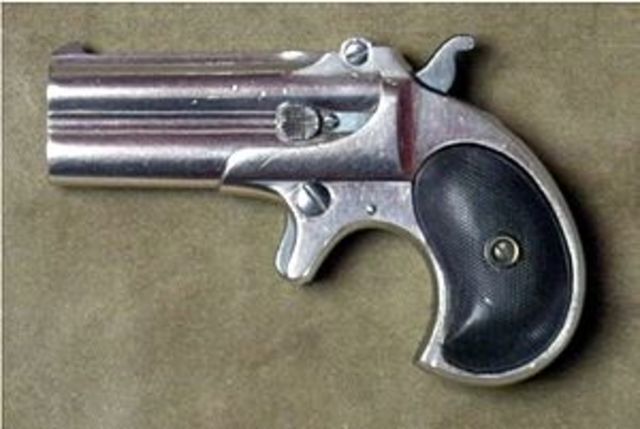Derringer Remington Model 95