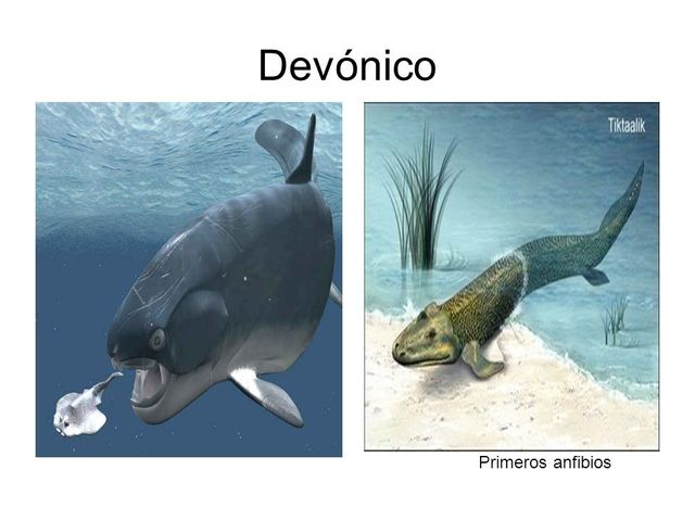 Devónico